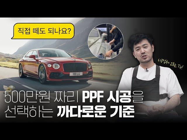 비싸면 600만원 하는 자동차 PPF 반드시 5가지 기준을 따져보세요