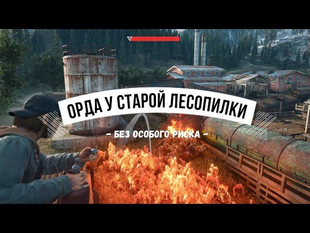 DAYS GONE Орда у старой лесопилки - Без особого риска (плюс странный баг)