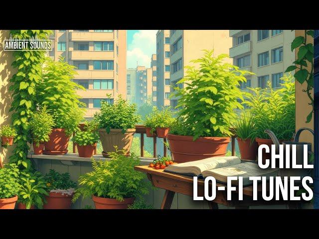 LoFi Pulse  Continuous Chill Beats for Study & Relaxation | Ambient Sounds
