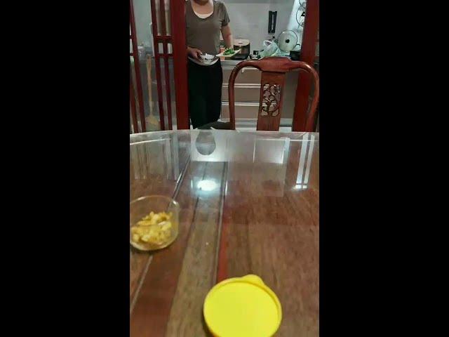 Zizi: What is this? Hey! ... Please give me a perfect explanation... #My pet# Daily record of cute