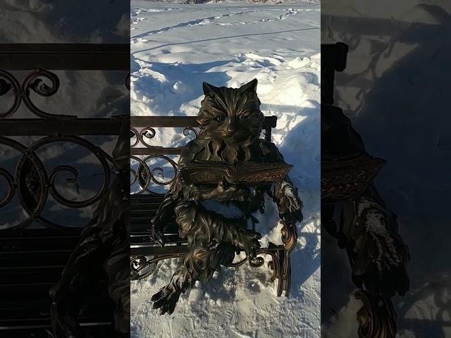 Кот Учёный!
