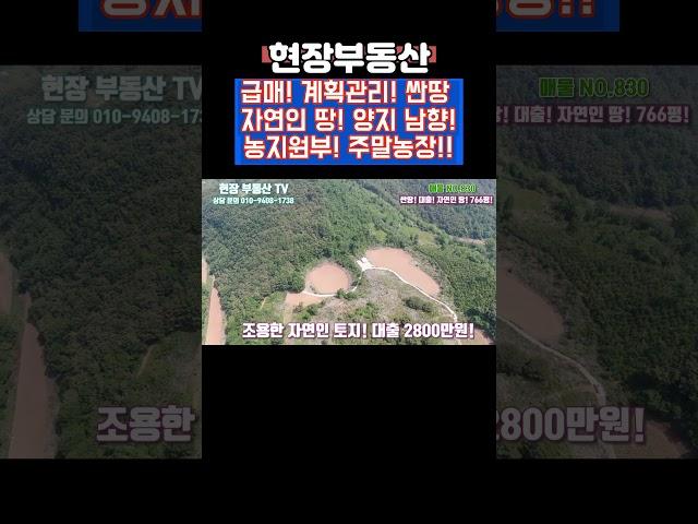 주말농장 양봉 부지 힐링 캠프 #sorts #현장부동산 #시골땅 #양봉 #주말농장