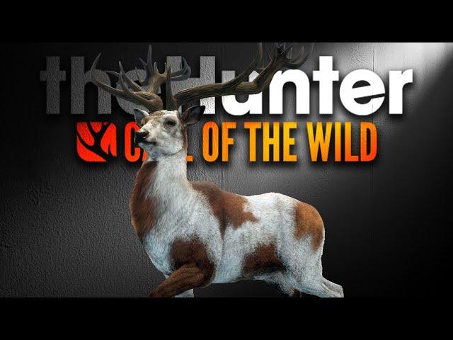 Super Rare VERSCHOSSEN? - Trophy Lodge React! | theHunter Call of the Wild