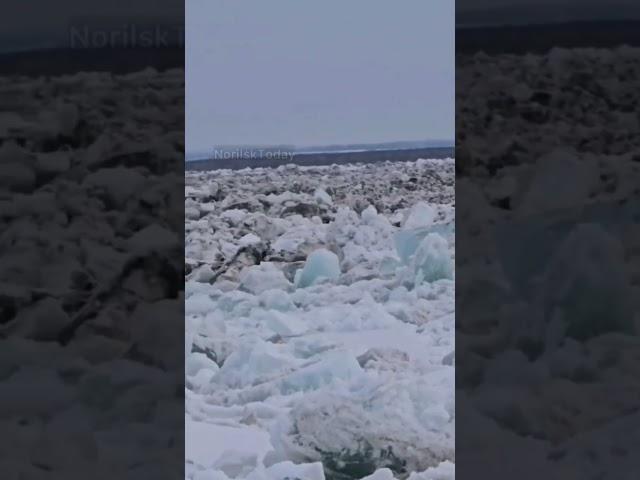 Енисей 31мая г. Норильск