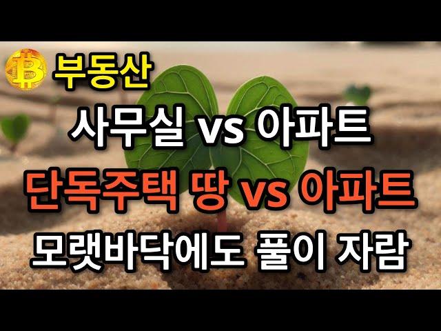 부동산 사무실 vs 아파트  단독주택 땅 vs 아파트  모랫바닥에도 풀이 자람