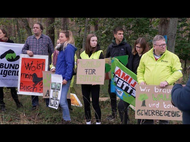 Raubbau an der Zukunft? Proteste gegen Waldrodung bei Grabow