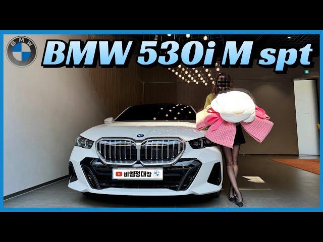 E클래스 거르고 5시리즈 선택 / BMW 530i xDrive M spt 출고 ️