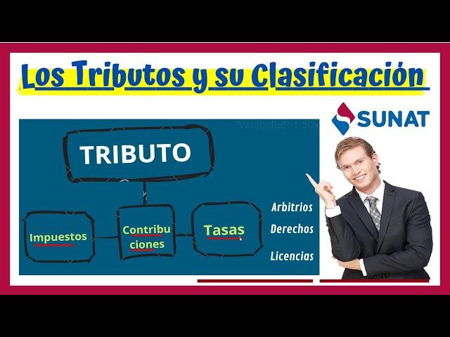 Los Tributos y su Clasificación - bien explicado