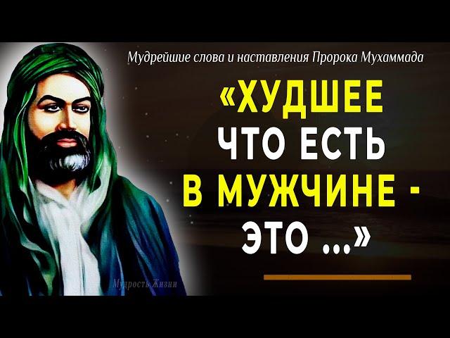 90 цитат Пророка Мухаммада, согревающих душу и пробирающих до слёз! Мудрые слова, меняющие жизнь