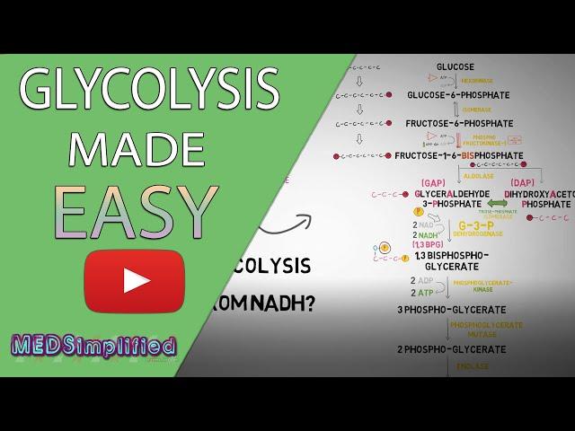 Glycolysis MADE EASY 2020 -  Carbohydrate Metabolism Simplified