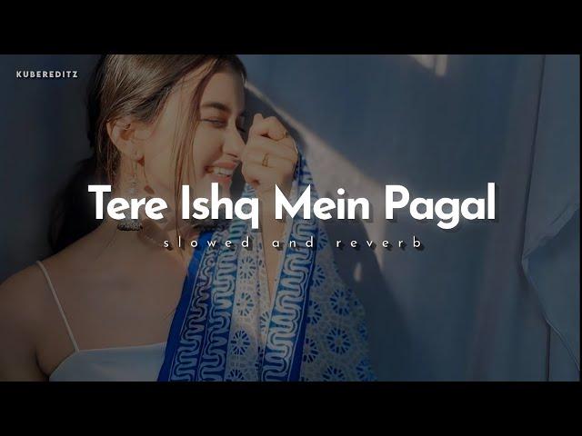 Tere Ishq Mein Pagal || (Slow+Reverb) Uditnarayan & Alka yagnik || KuberEditz #Lofi