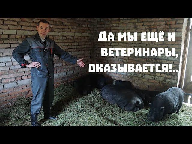 Находим серебро , обновляем хозяйство и проводим хирургические операции!