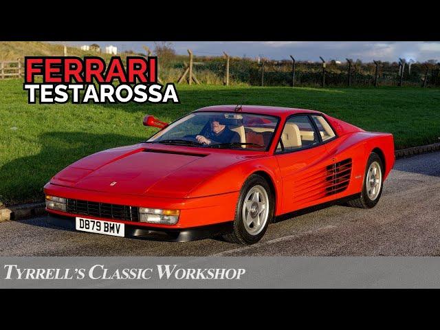 Unlocking Testarossa: A Rare Glimpse into this Stunning Ferrari | Tyrrell's Classic Workshop