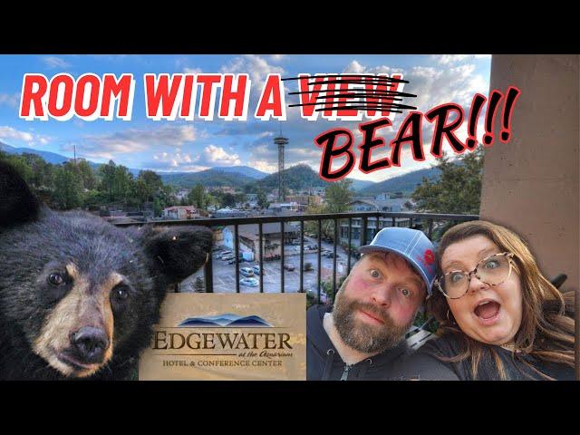 The Edgewater Hotel- Gatlinburg Tennessee- FULL REVIEW 2024