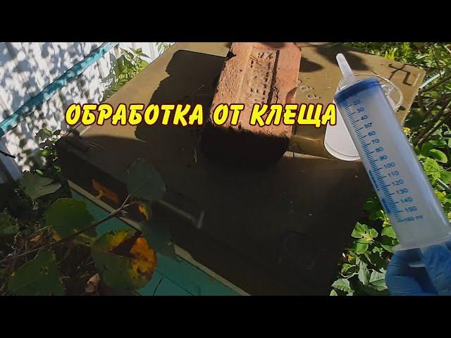 пасека, обработка от клеща