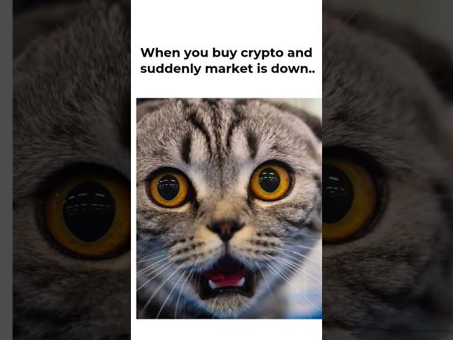  true #trading #cryptotrading #bitcoin #cryptogenius #crypto #blockchain #cryptocurrency #ethereum