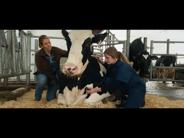 Dairy Farming Forward - High Canadian Standards