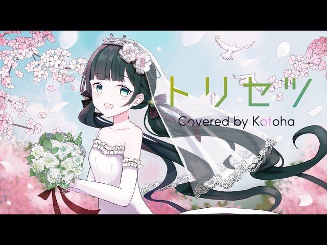 トリセツ /  西野カナ【Covered by Kotoha】