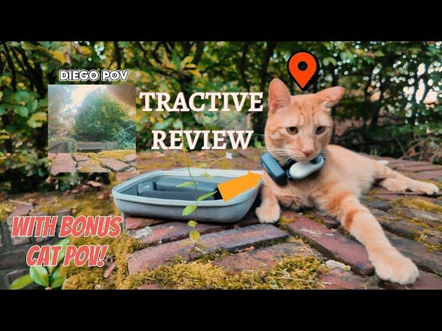 Where does your cat go? - Tractive Mini Review (2024) - With bonus cat POV!