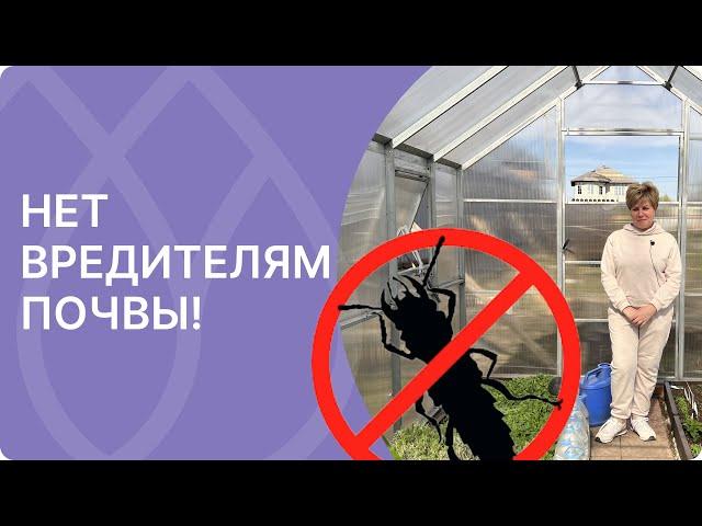 Лучшее средство от почвенных вредителей!