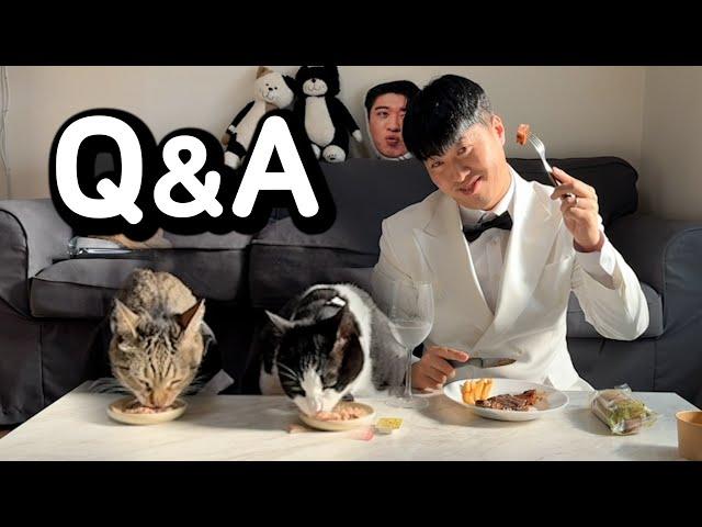 100만 고양이의 품격있는 Q&A