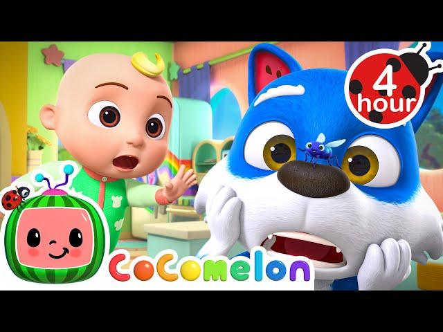 Catch the Fly 🪰 | NEW ‍️ Cocomelon - Nursery Rhymes | Fun Cartoons For Kids