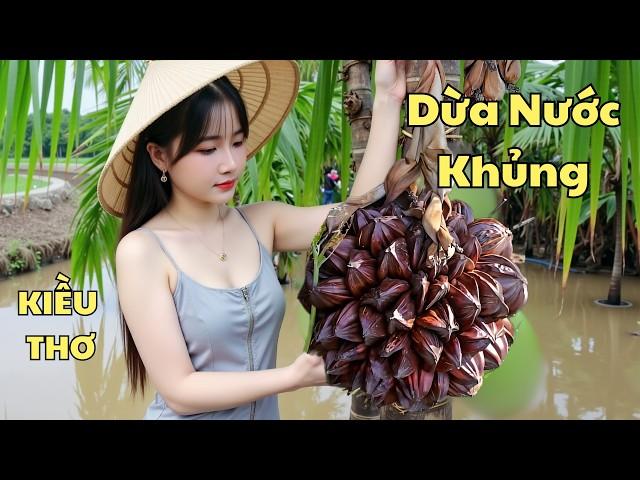 Kiều Thơ về miền tây sông nước lang thang Thử Thách hái Dừa Nước khủng thật là hấp dẫn