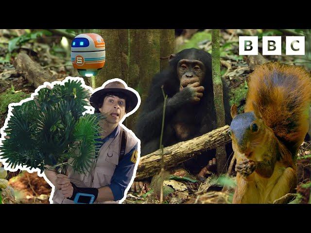 Animals That Love To Eat with Andy’s Global Adventures | CBeebies