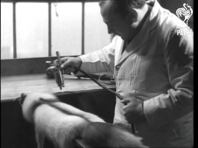 Remaking Furs (1941)