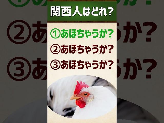 【関西人はどれ？】ほんまですか？/あほちゃうか #関西弁 #イントネーション #クイズ #エセ関西弁 #アクセント #shorts vol.2