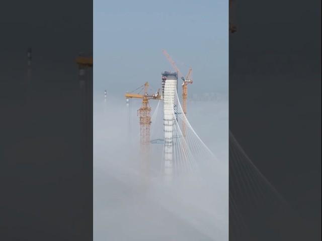 The Most Highest building on working completely #shortvideo #cranework #crane #foryou #viralvideo#yt