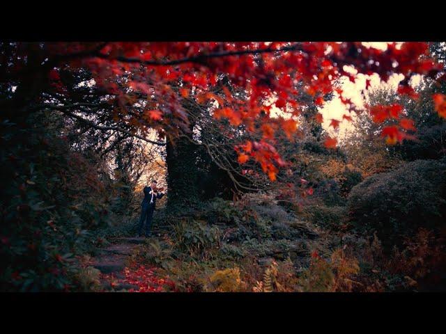 Over the Rainbow - (Eva Cassidy) Matt Glossop - Solo Violin