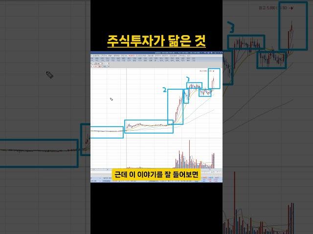 주식을 잘하기 위해서 할 것