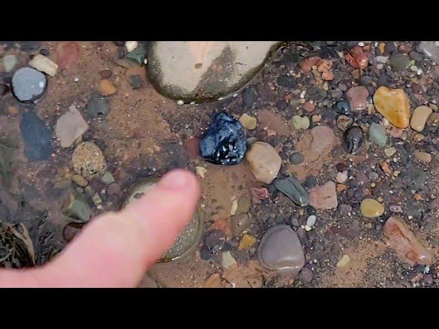 Ordinary Black Rock Found On The Beach Turns Into Stunning Gemstone