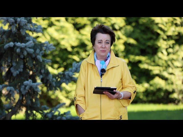 3555. Хлеб на каждый день. 21 июня. Псалом 84:11