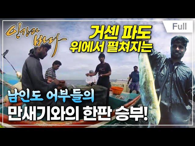 [Full] 인간과 바다 - 인도양의 금빛 만새기를 잡다,  남인도 어부들