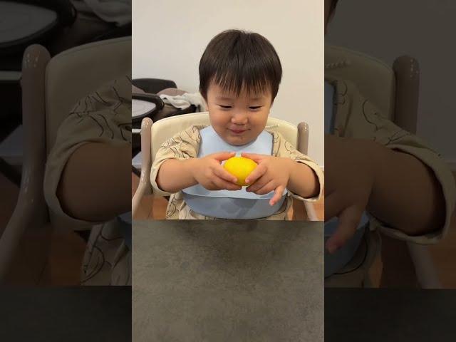 【食事】HARU/もくもく食事　みかん剥き完全版(11.9）【2years 7 month old】