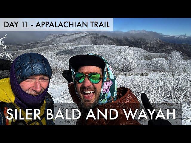 2025 Appalachian Trail Thru Hike Day 11 - Siler Bald and Wayah Tower