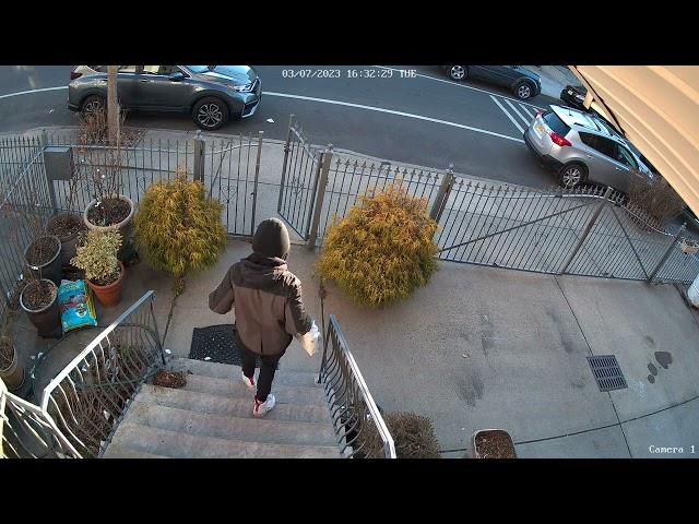 Reolink Captures Porch Pirate Stole Package 4K