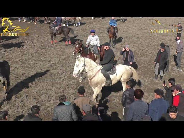 RUSLAN POLVON TOSHKENT CHINOZDAN BOBIR AKA QURUVCHINING KAROL LAQABLI TULPORIDA. ZARBDOR 29.12.2024