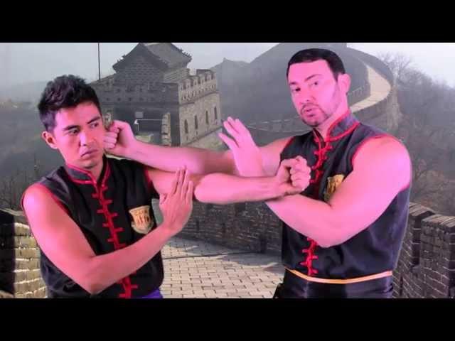 Learn Wing Chun's Wu Sau in One Minute | Sifu Tei