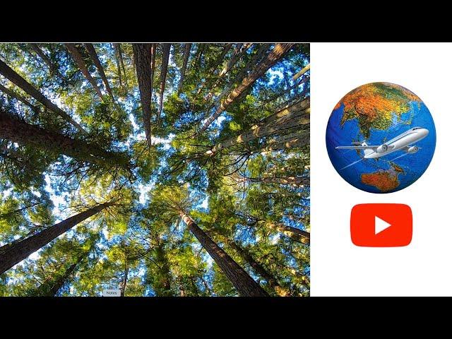 Discover California: Mount Tamalpais State Park