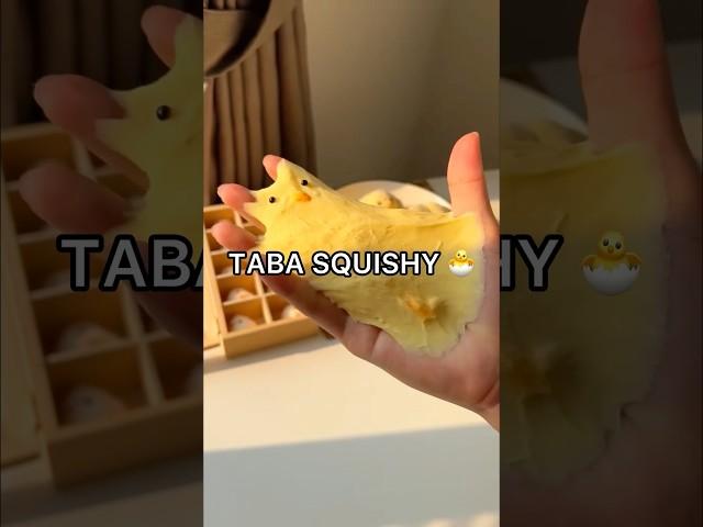 *RESULTS* I Made a VIRAL TABA SQUISHY!  How to Make a Taba Squishy Tutorial