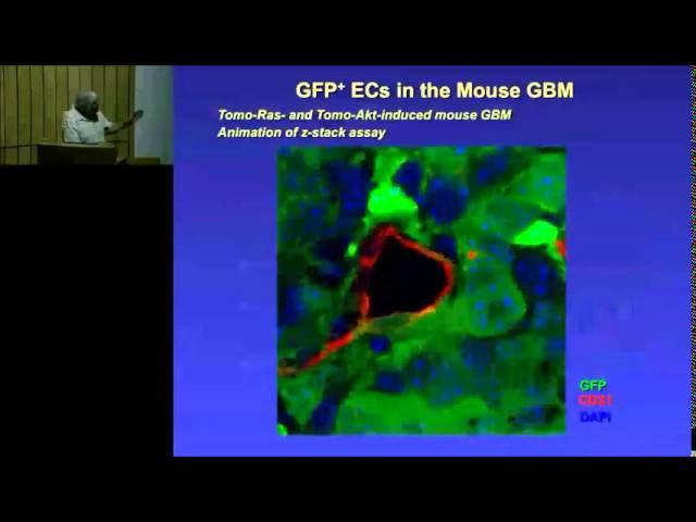 NCBS - Infosys Science Foundation Public Lecture by Prof. Inder Verma