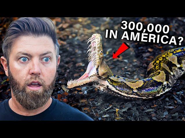 5 Most Dangerous Invasive Species in the World