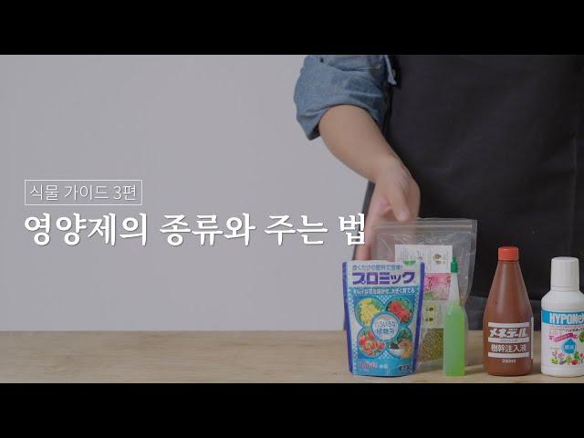 식물 가이드 03. 영양제의 종류와 주는 법 (시리즈그린 with 그루우) #시그식물가이드