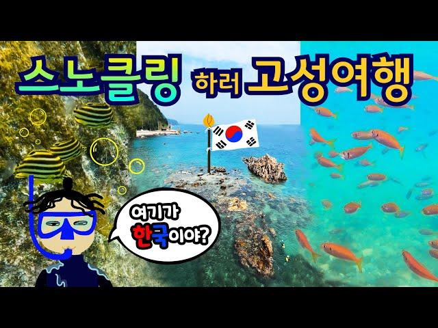 아직 덥다! 이번 주 스노클링 갈까?! | 고성 스노클링 성지 | 거진 맛집 | 고성 차박 | 백섬전망대 | 거진해수욕장 | 인제 맛집 | 원통 맛집 | 209