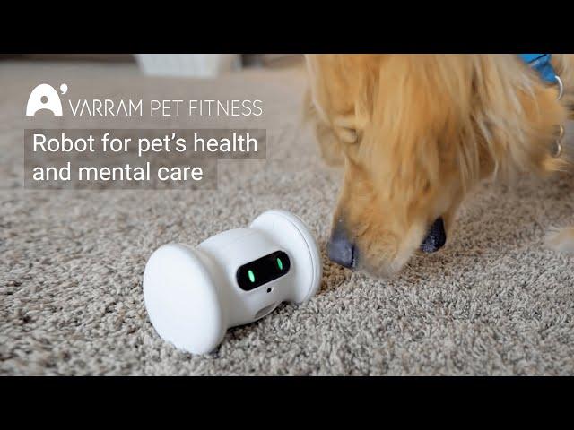 VARRAM Pet Robot: A Smart Fitness Robot For Your Pet