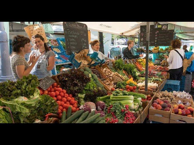 Saturday Market in the Netherlands #shorts #EuropeCruiserVlog | Europe Travel Vlog #europetravel