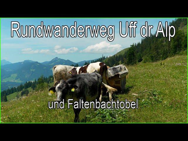 Wanderung in Oberstdorf. Uff dr Alp und Faltenbachtobel 